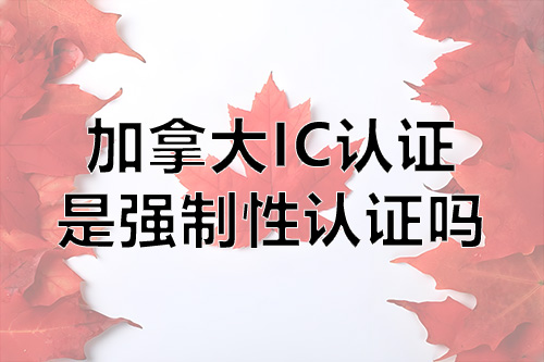 fb0c719d-6426-4f27-a8e4-e18d94ca4c21.jpg